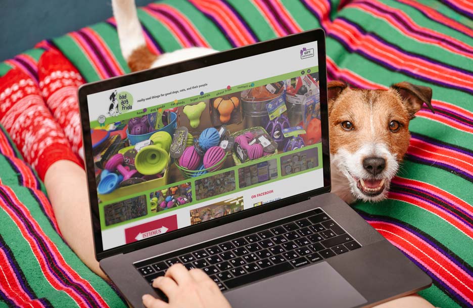 Photo of Bad Dog Frida website on laptop on bed with dog