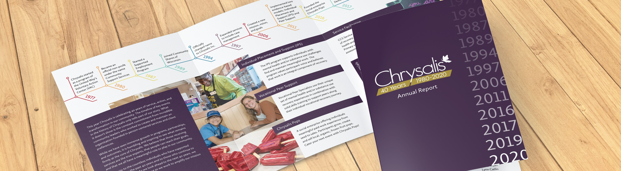 Chrysalis annual report